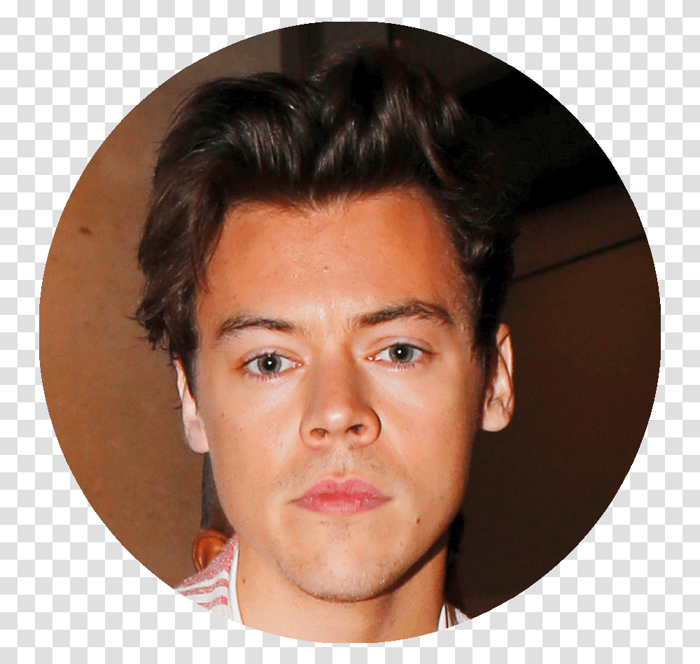 Harry Styles, Face, Person, Human, Head Transparent Png