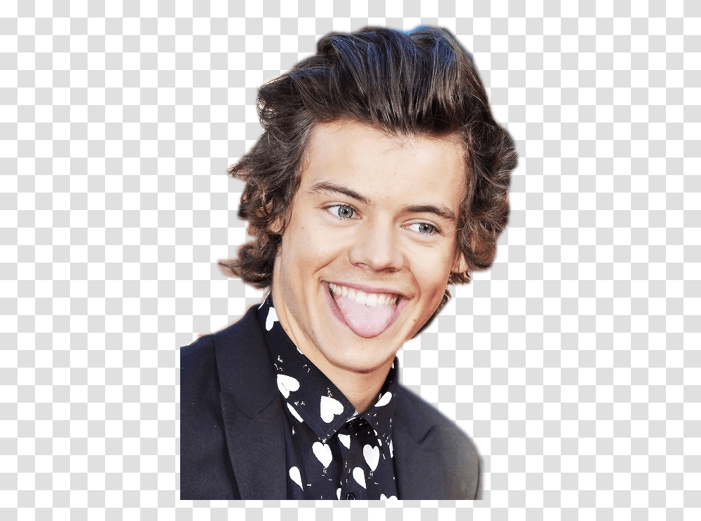 Harry Styles Harry Styles, Face, Person, Dimples Transparent Png