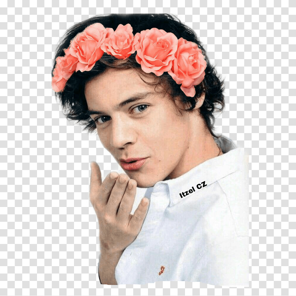Harry Styles Photoshoot Harry Styles 2013, Person, Face, Hat Transparent Png