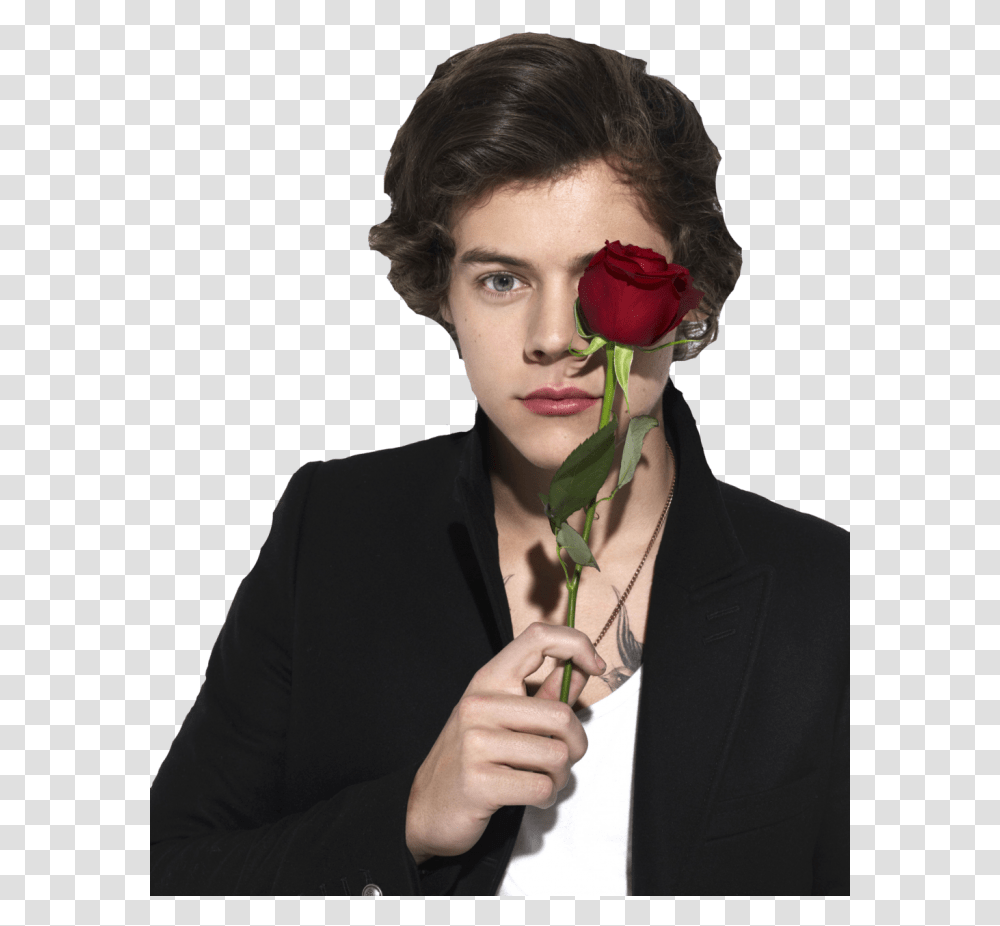Harry Styles With Flower, Plant, Rose, Blossom, Person Transparent Png