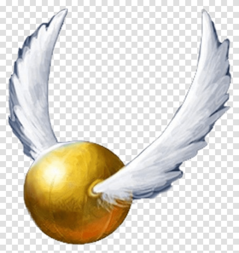 Harrypotter Goldensnitch Quidditch Harry Potter Golden Snitch, Person, Bird, Animal Transparent Png