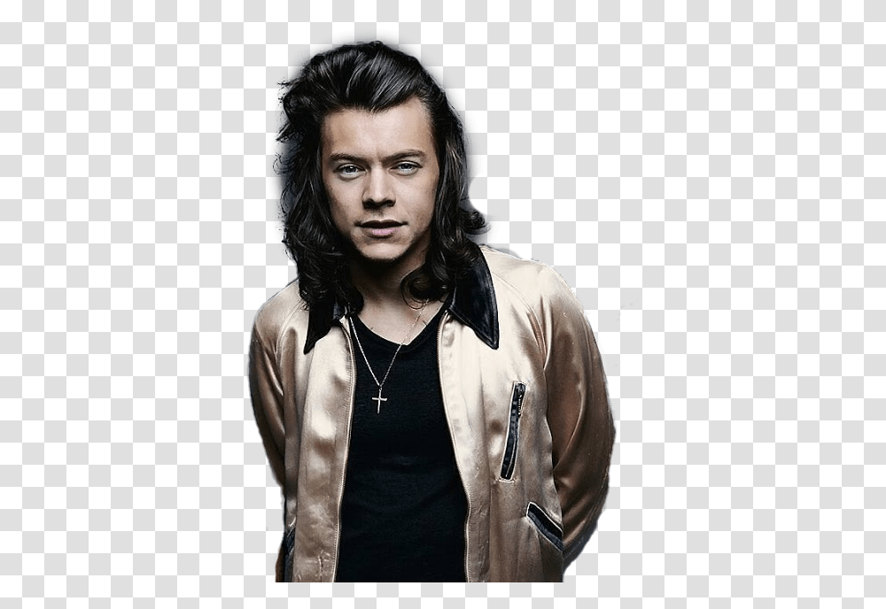 Harrystyles Harry Harry Styles Louistomlinson Harry Styles 2016, Pendant, Person, Human, Face Transparent Png