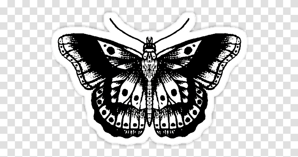 Harrystyles Mariposa Tumblr Hipster Harry Styles Tattoos, Doodle, Drawing, Stencil Transparent Png