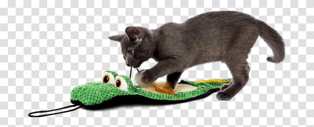 Hartz Gator Scratch Pad Cat Toy Cat Toy, Pet, Mammal, Animal, Manx Transparent Png
