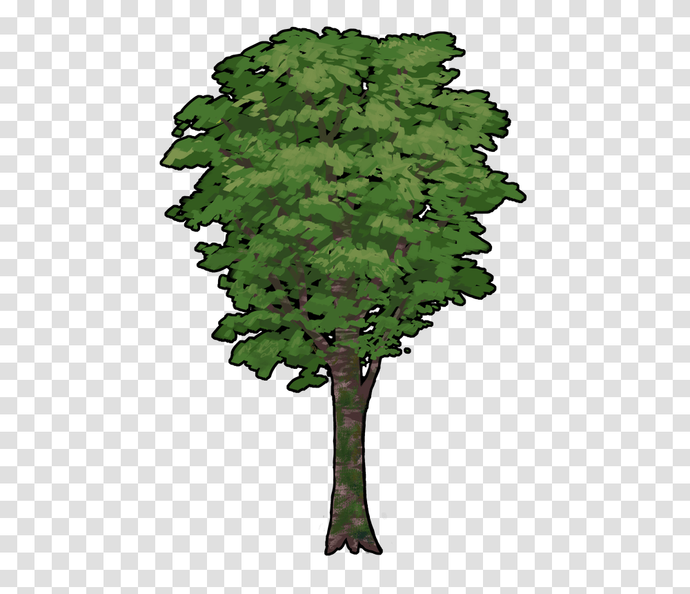 Harukaze Development, Tree, Plant, Tree Trunk, Maple Transparent Png