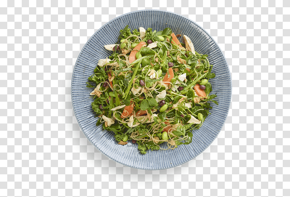 Harusame Glass Noodle Salad Wagamama, Plant, Produce, Food, Dining Table Transparent Png