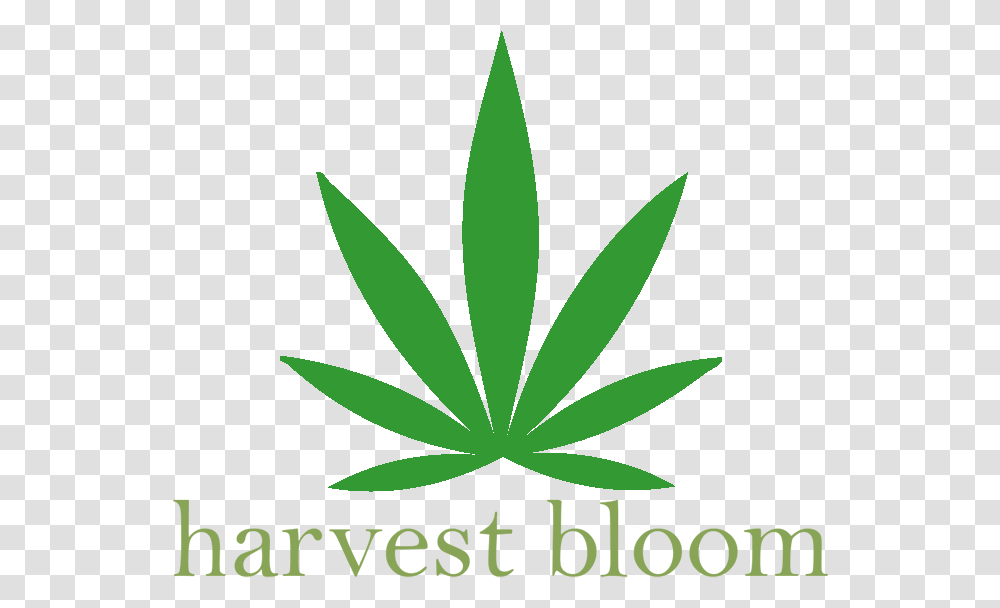 Harvest Bloom Medical Marijuana Delivery Service Interview, Plant, Green, Leaf, Flower Transparent Png
