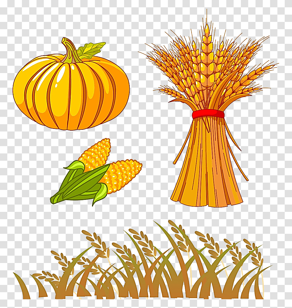 Harvest Clip Art, Plant, Vegetable, Food, Wheat Transparent Png