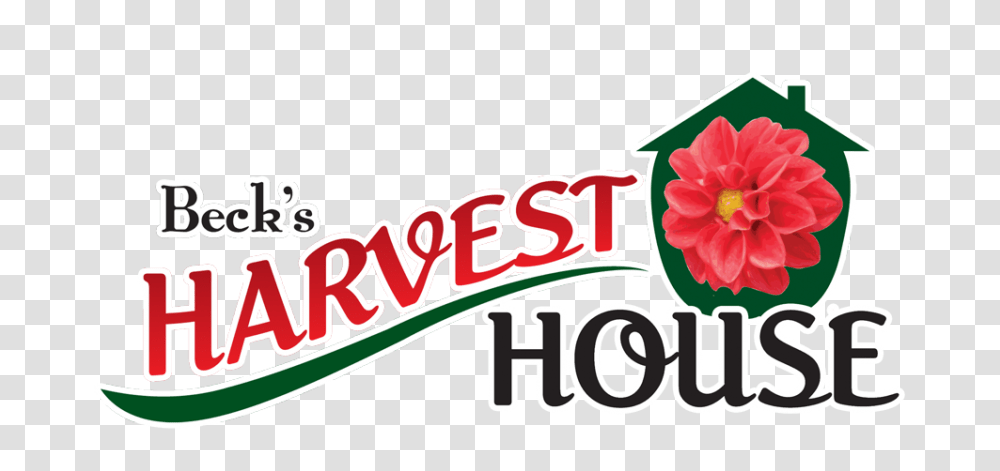 Harvest Clipart Brunch, Logo, Label Transparent Png