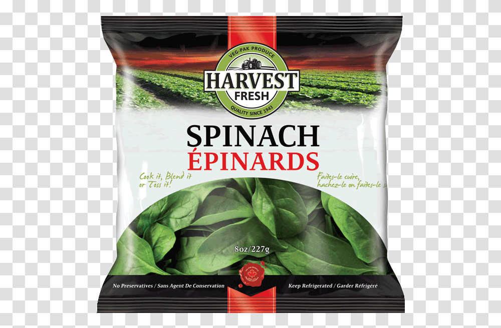 Harvest Fresh Bagged Spinach, Plant, Food, Vegetable, Flour Transparent Png
