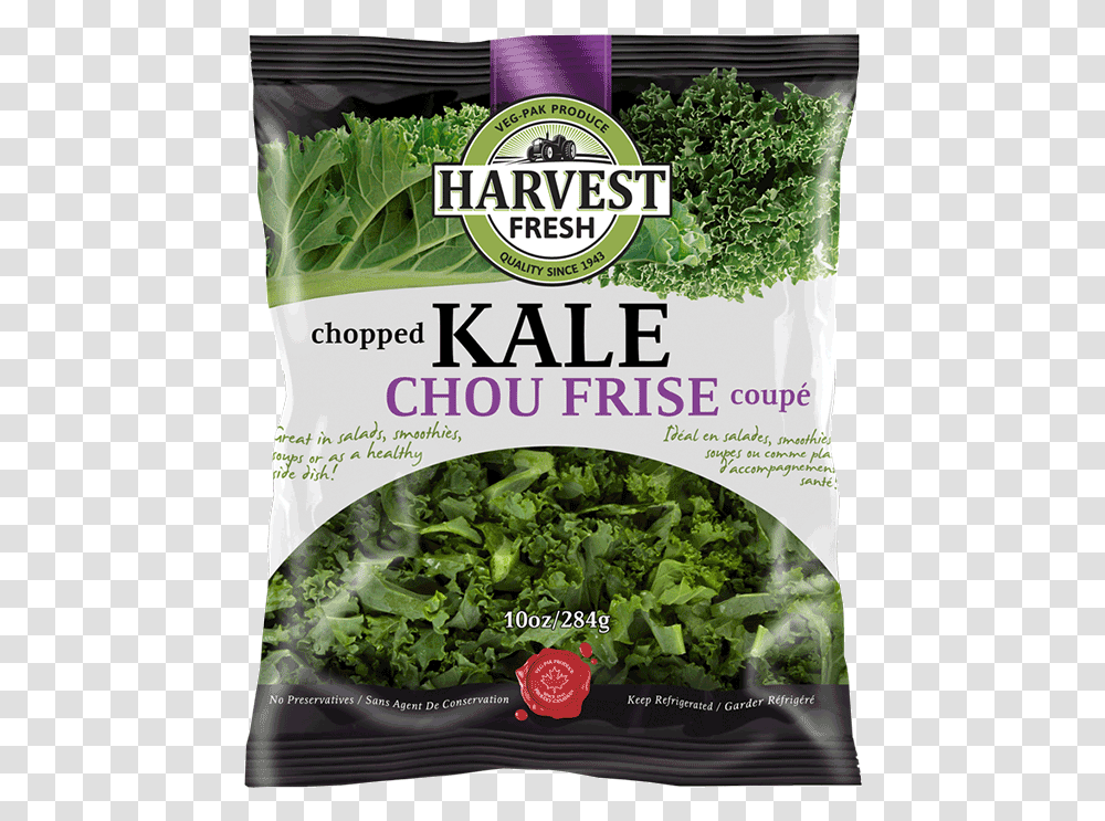 Harvest Fresh Chopped Kale, Plant, Vegetable, Food, Spinach Transparent Png
