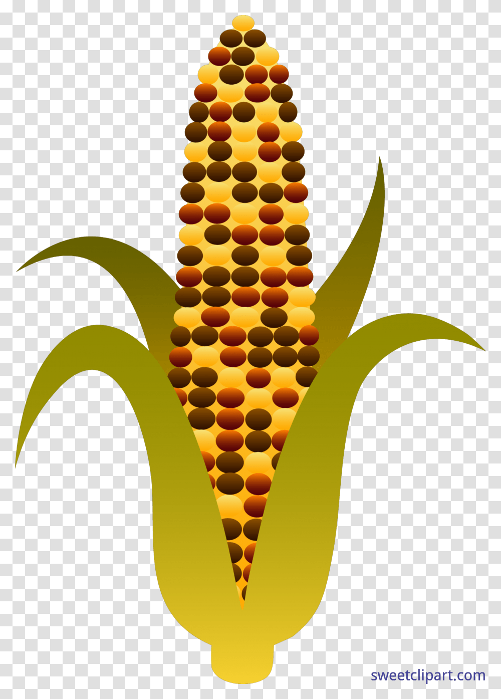 Harvest Indian Corn Clip Art, Plant, Vegetable, Food Transparent Png