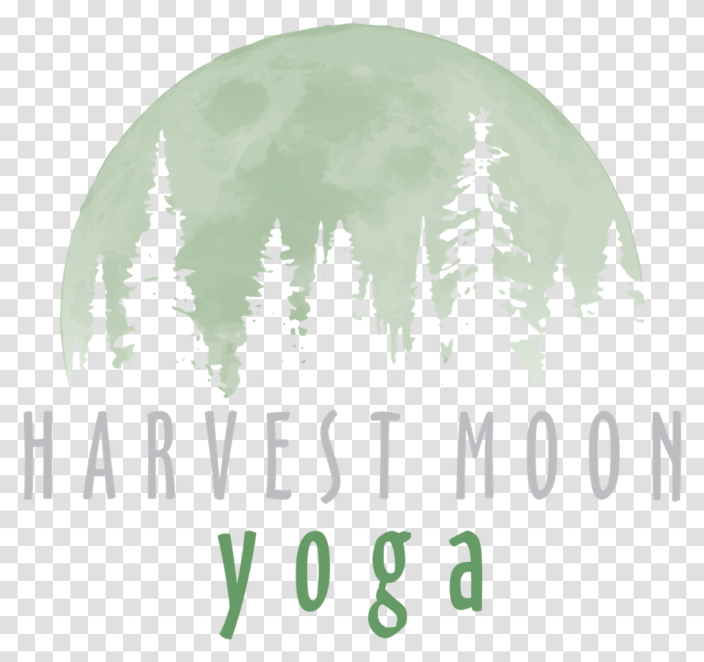 Harvest Moon, Tree, Plant, Outdoors, Nature Transparent Png