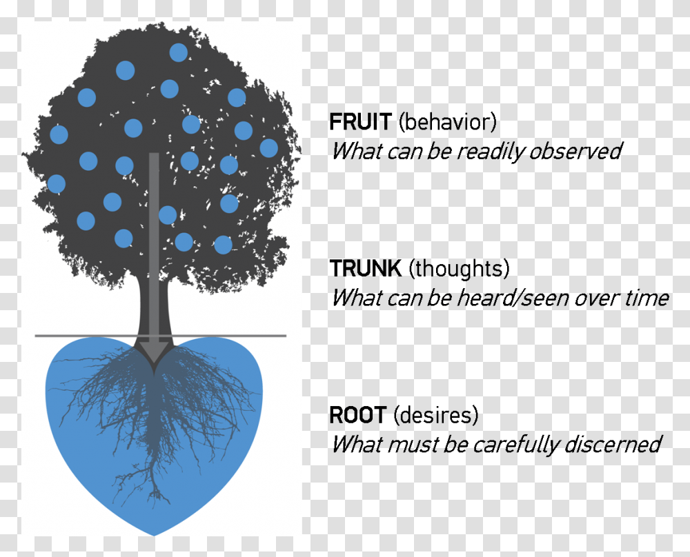 Harvest Tree Heart Diagram Circle, Lamp, Outdoors, Flower, Plant Transparent Png