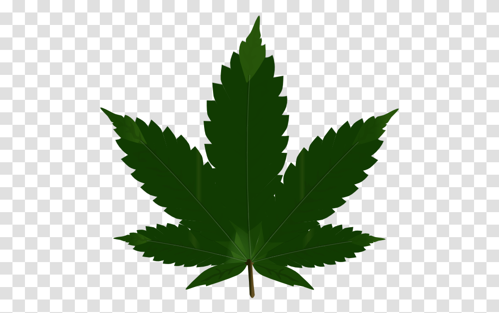 Hash Marihuana Amp Hemp Museum Cannabis Blunt Clip Art Marijuana, Leaf, Plant, Tree, Maple Leaf Transparent Png