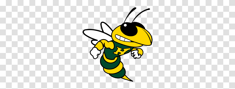 Hastings Yellow Jackets Booster Club, Wasp, Bee, Insect, Invertebrate Transparent Png