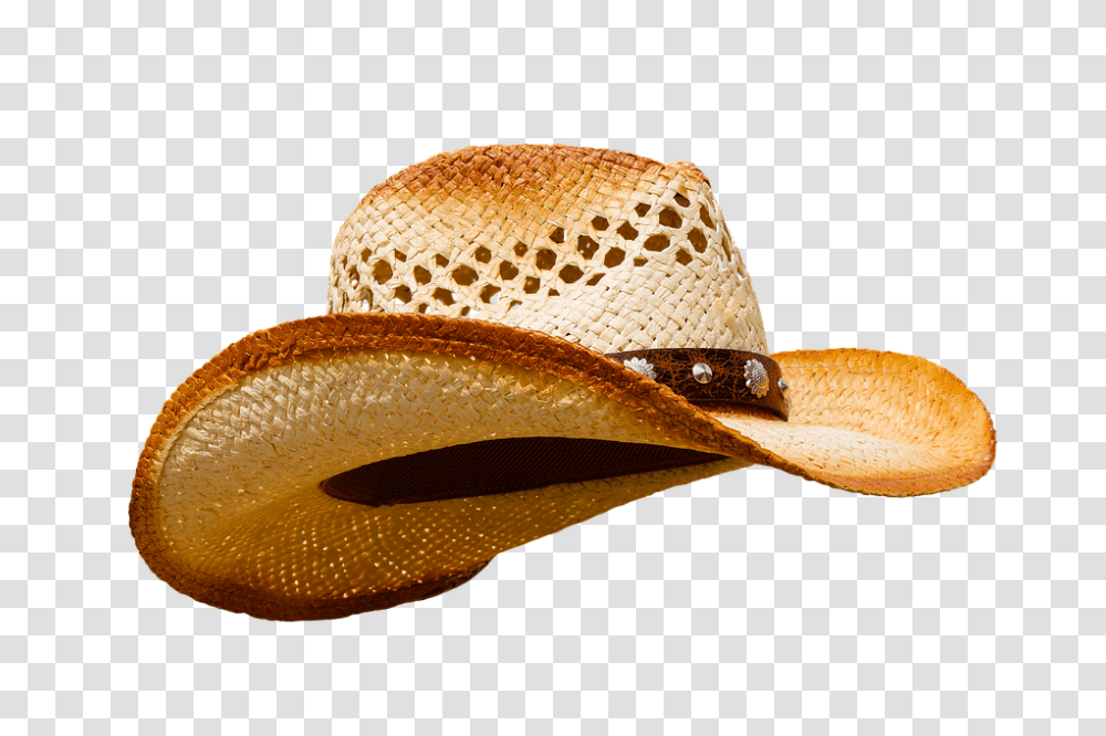 Hat 960, Apparel, Snake, Reptile Transparent Png