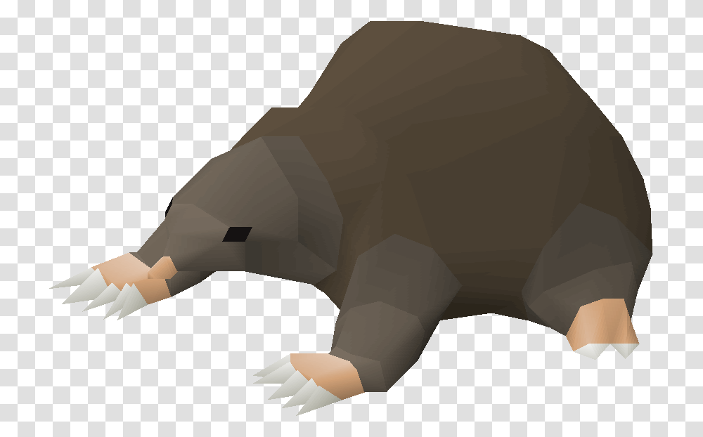 Hat Runescape Runescape Gnome Child By Cthulhuism Baby Mole Pet Osrs, Mammal, Animal, Wildlife, Aardvark Transparent Png