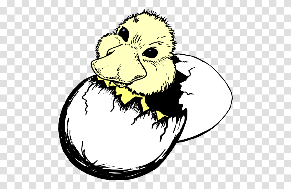 Hatch Cliparts, Beak, Bird, Animal, Person Transparent Png