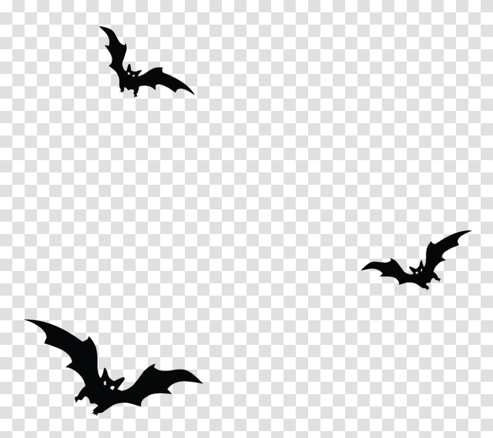 Haunted Bats Vector, Flying, Bird, Animal, Wildlife Transparent Png