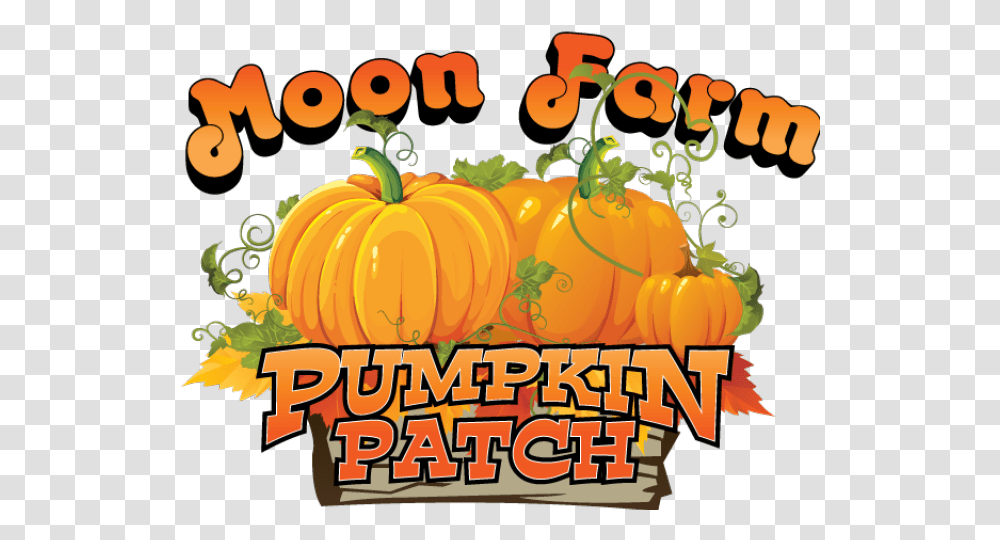 Haunted Clipart Pumpkin Patch Moon Farm Fruita Colorado, Plant, Vegetable, Food, Vegetation Transparent Png