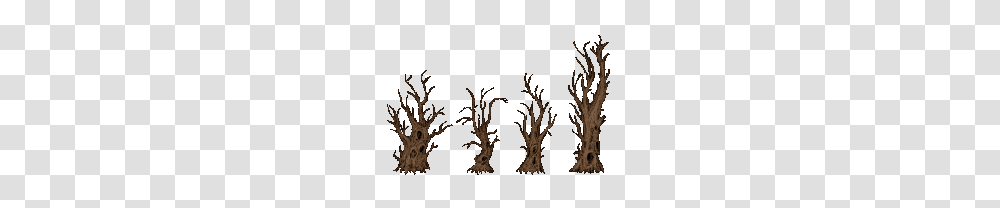Haunted Forest Trees, Lighting, Plant, Nature, Outdoors Transparent Png