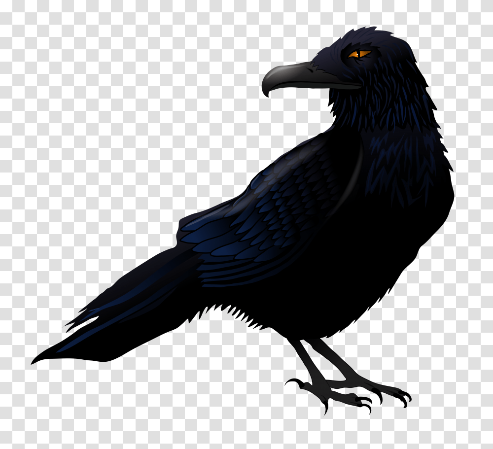 Haunted Raven Vector, Bird, Animal, Crow, Blackbird Transparent Png
