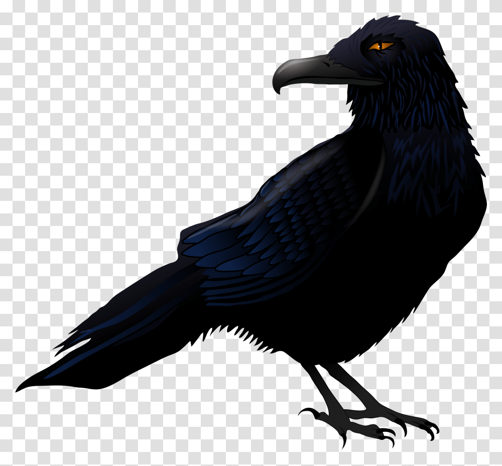 Haunted Raven Vector Clipart Raven, Bird, Animal, Vulture, Beak Transparent Png