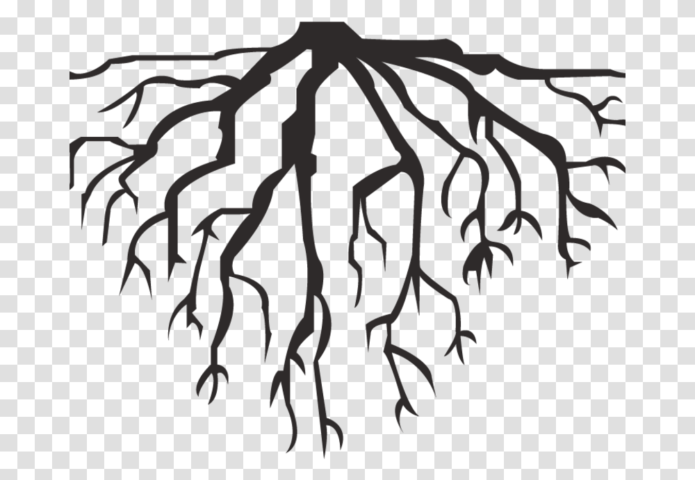 Hausarrest Deep Roots Roots Vector, Plant, Tree Transparent Png