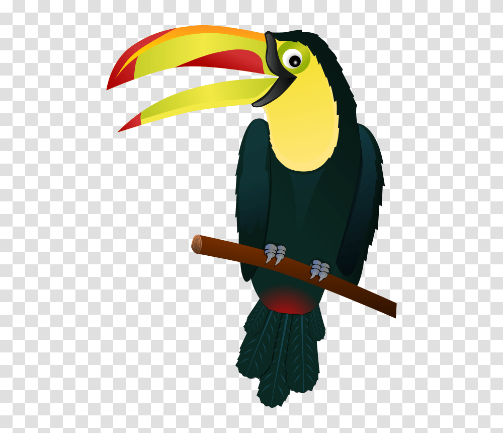 Hawaii Clipart Bird, Toucan, Animal, Beak Transparent Png