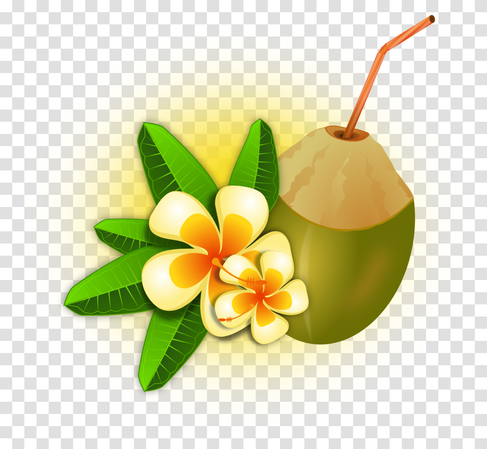 Hawaii Clipart Coconut Cocktail, Plant, Food, Vegetable, Fruit Transparent Png