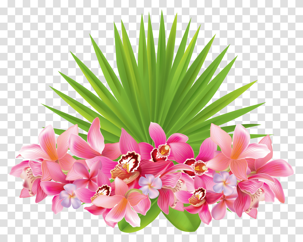 Hawaii Clipart Hawaiian Flower Tropical Flowers Background Transparent Png