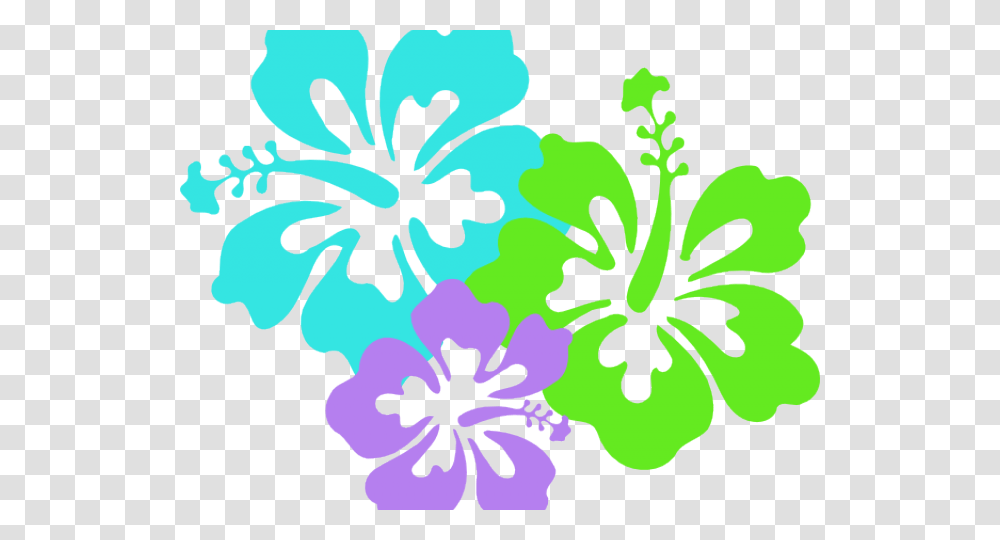 Hawaii Clipart Hibiscus Flower, Plant, Blossom, Floral Design Transparent Png