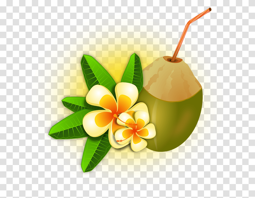 Hawaii Clipart Tropical Drink, Plant, Fruit, Food, Nut Transparent Png