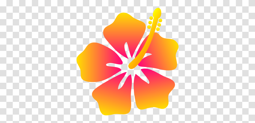 Hawaii F Hibiscus Flower Clip Art, Plant, Blossom, Petal, Pollen Transparent Png