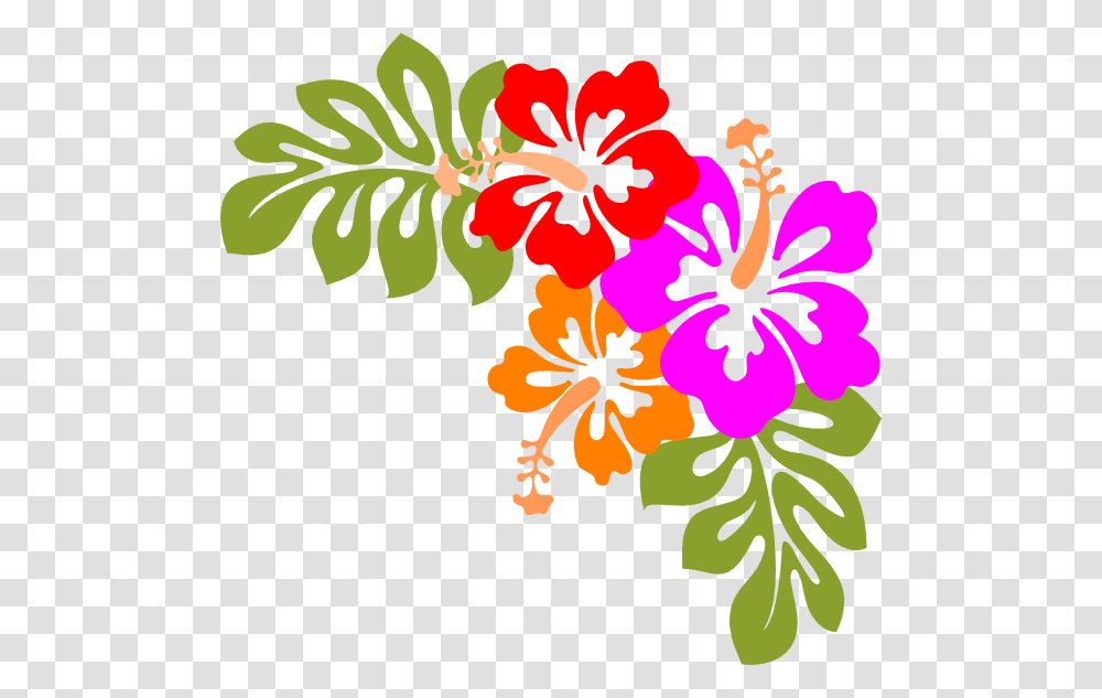 Hawaii Frame Cliparts, Plant, Floral Design, Pattern Transparent Png