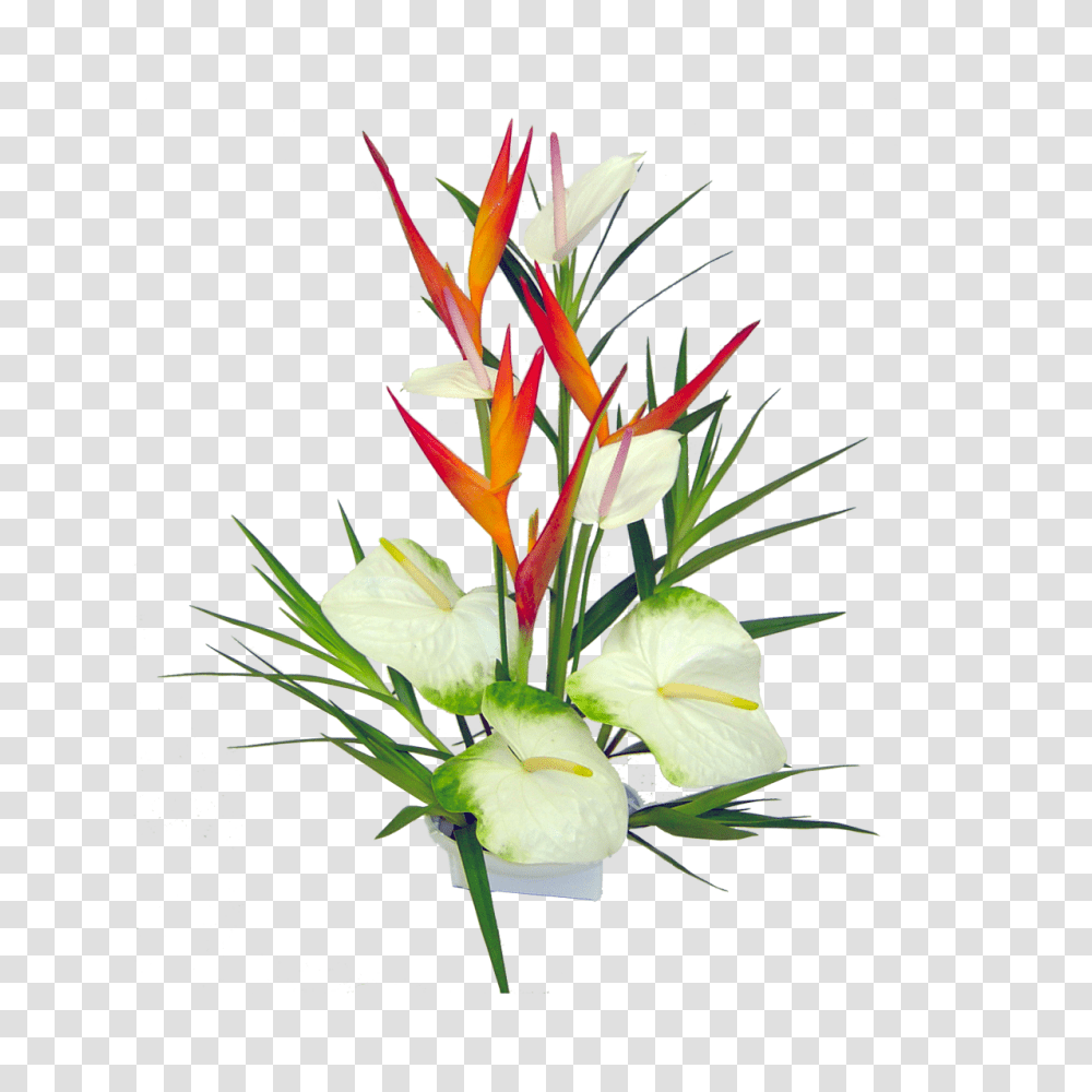 Hawaii Hd Hawaii Hd Images, Plant, Flower Bouquet, Flower Arrangement, Blossom Transparent Png