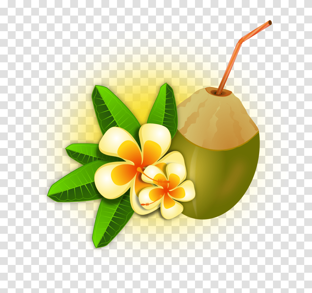 Hawaii Vacation Clipart, Plant, Nut, Vegetable, Food Transparent Png