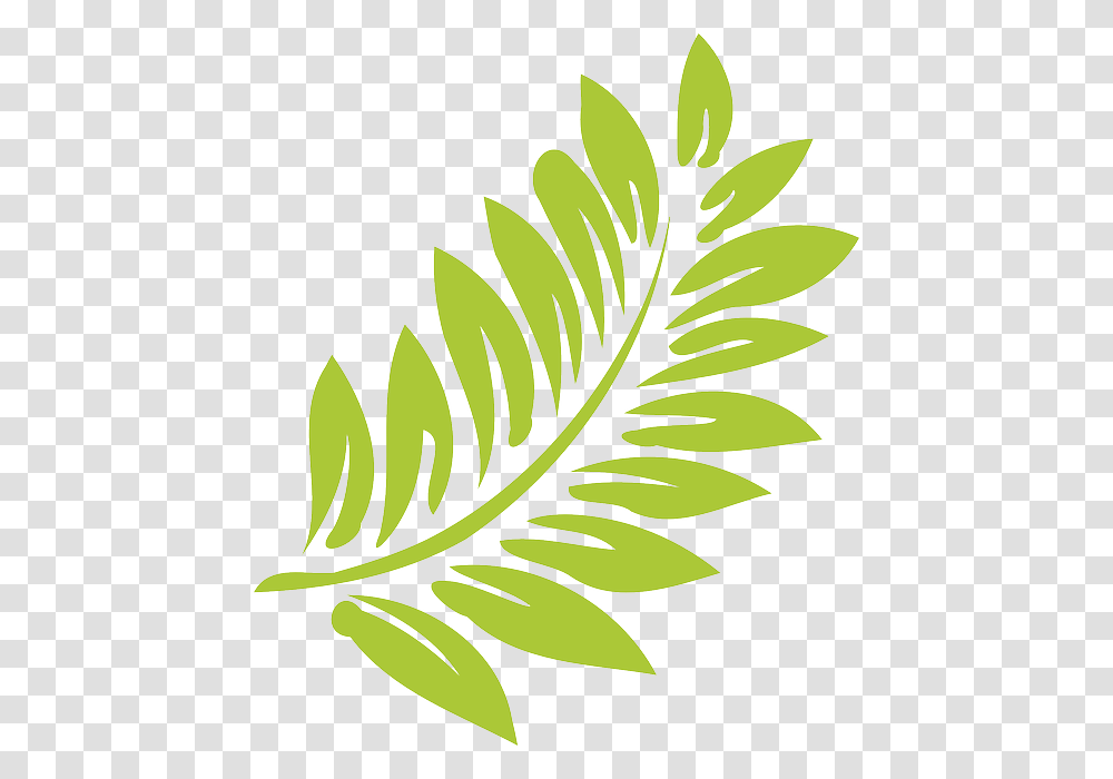 Hawaiian Flower Background, Green, Leaf, Plant Transparent Png