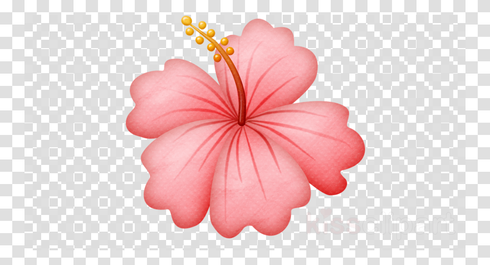 Hawaiian Flower Background, Plant, Geranium, Blossom, Petal Transparent Png