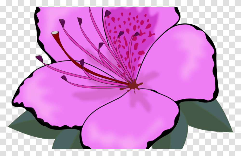 Hawaiian Flower Border Clip Art Gardening Flower And Vegetables, Plant, Petal, Blossom, Geranium Transparent Png