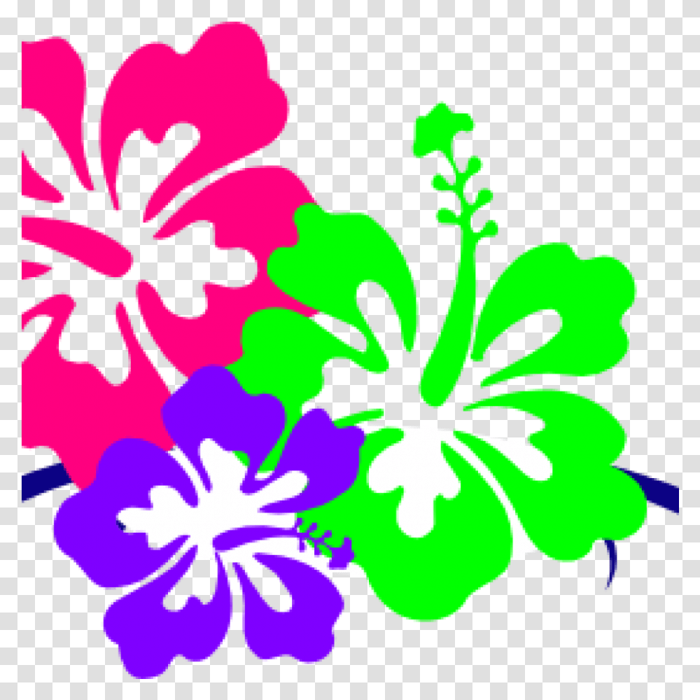 Hawaiian Flower Clip Art Borders Flower Clip Art Hawaiian, Plant, Hibiscus, Blossom, Graphics Transparent Png