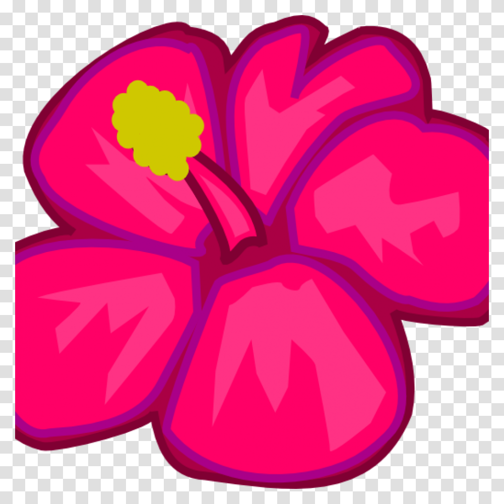 Hawaiian Flower Clipart Question Mark Clipart House Clipart, Plant, Petal, Blossom, Hibiscus Transparent Png