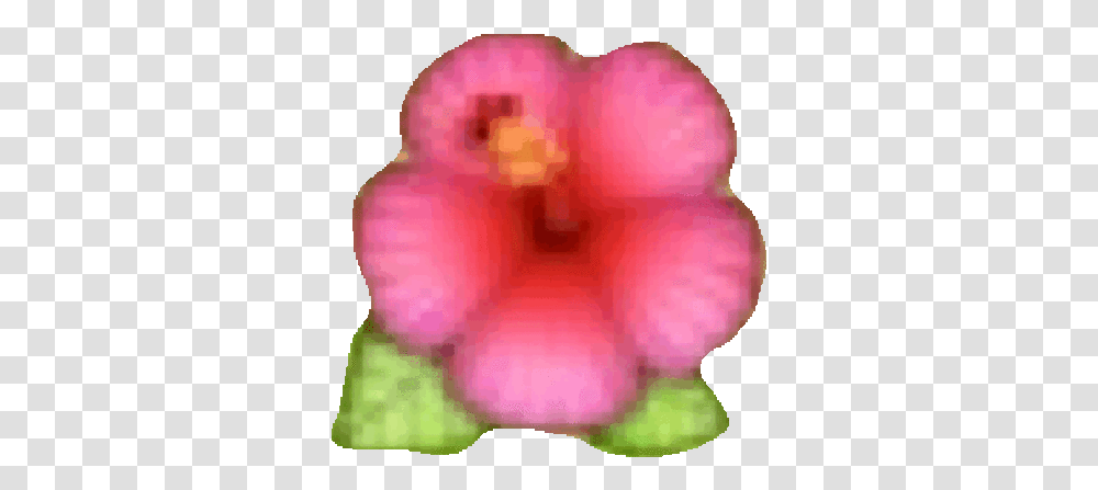 Hawaiian Flower Emoji Icon, Petal, Plant, Blossom, Anther Transparent Png