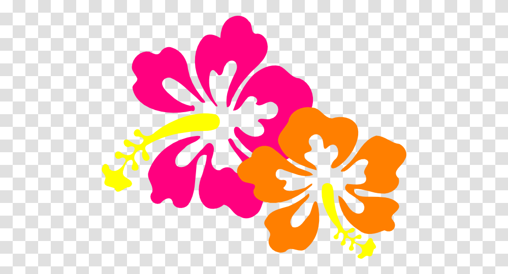 Hawaiian Flower Hawaiian Flower Cartoon, Hibiscus, Plant, Blossom, Anther Transparent Png