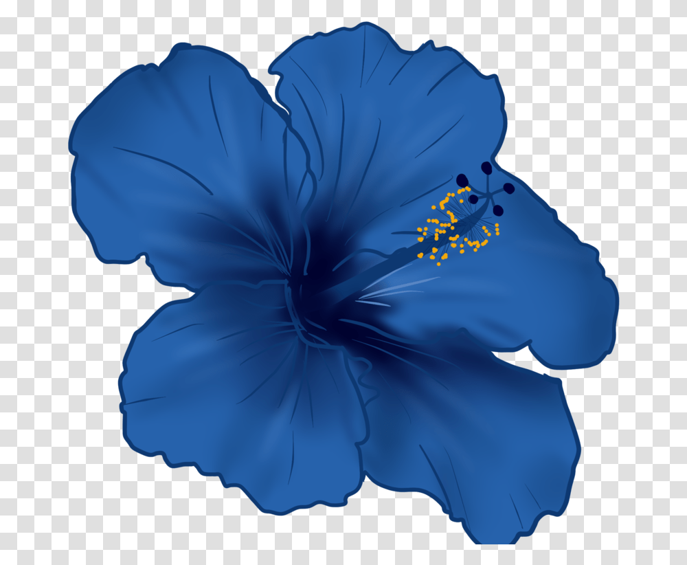 Hawaiian Flower Vector Blue Hawaiian Hibiscus Flower, Plant, Blossom, Geranium, Anther Transparent Png