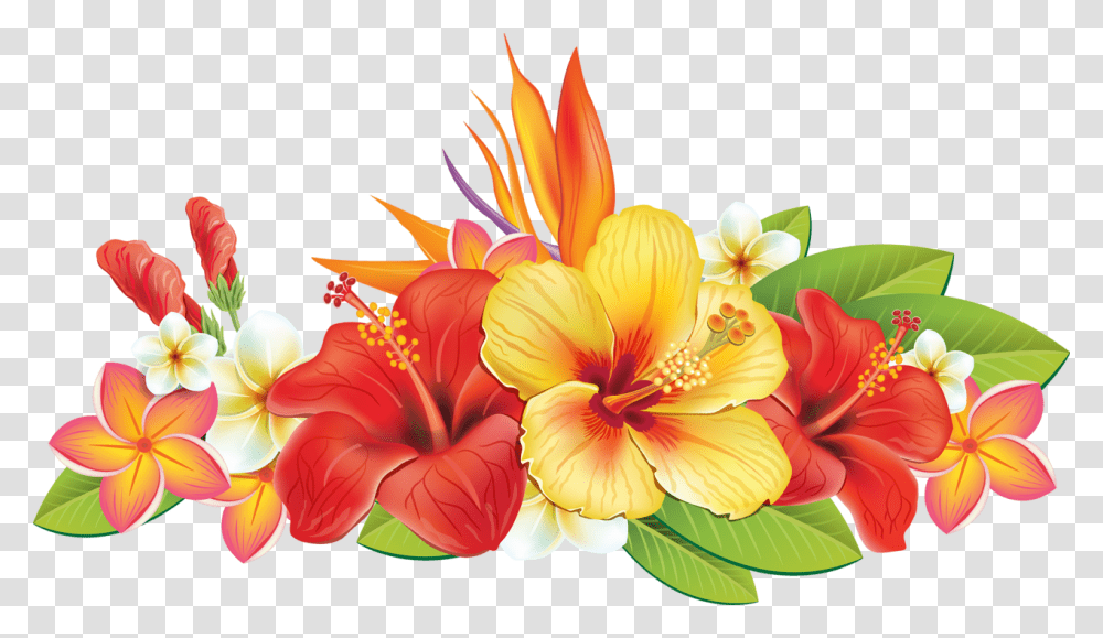 Hawaiian Flower Vector, Plant, Hibiscus, Blossom, Pollen Transparent Png