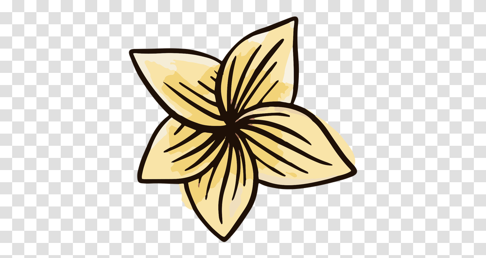 Hawaiian Flower Watercolor & Svg Vector File Como Dibujar Flores Hawaianas Paso A Paso, Plant, Petal, Blossom Transparent Png