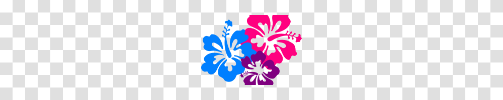 Hawaiian Flowers Clip Art Hawaiian Flower Clip Art Borders Clipart, Hibiscus, Plant, Blossom, Dye Transparent Png