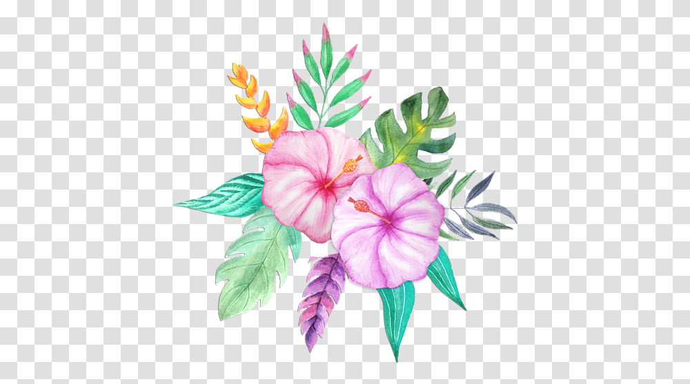 Hawaiian Flowers Clipart Vectors Watercolor Painting, Plant, Geranium, Blossom, Acanthaceae Transparent Png